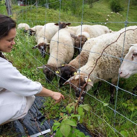 La Vieille Ferme, Ecogite Saint-Fulgence 外观 照片