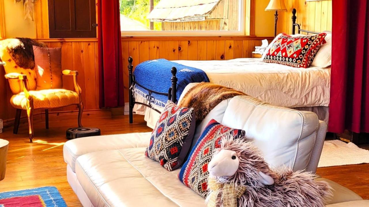 La Vieille Ferme, Ecogite Saint-Fulgence 外观 照片