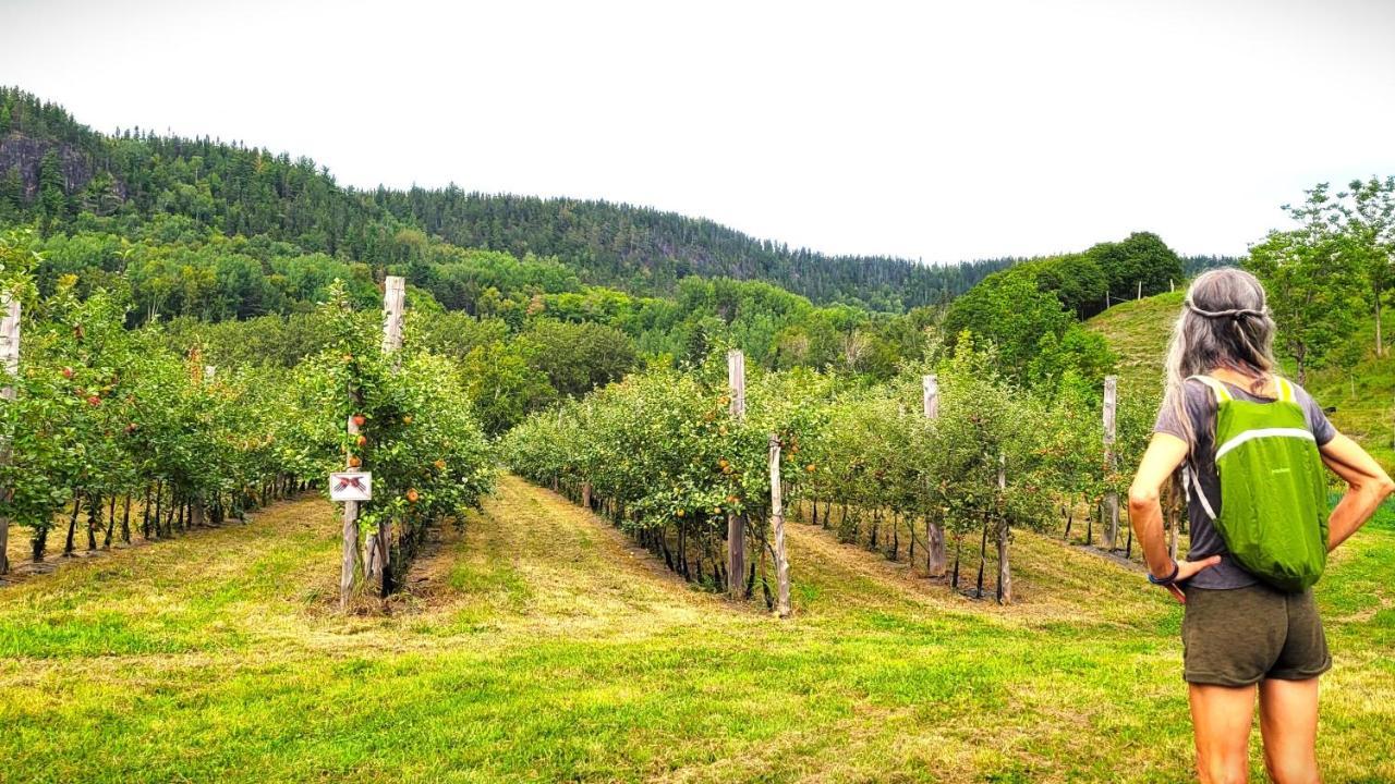 La Vieille Ferme, Ecogite Saint-Fulgence 外观 照片