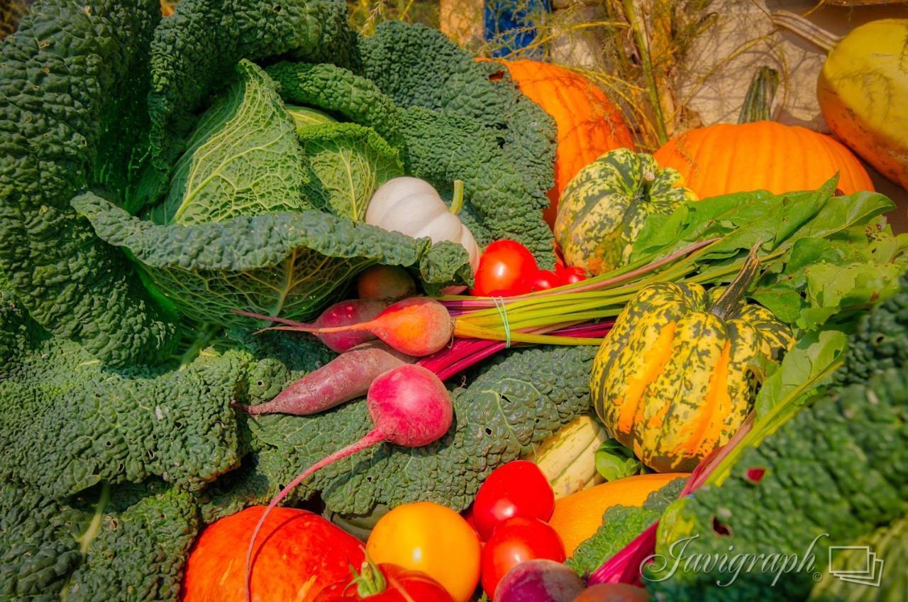 La Vieille Ferme, Ecogite Saint-Fulgence 外观 照片